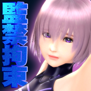 サーヴァントヒロイン